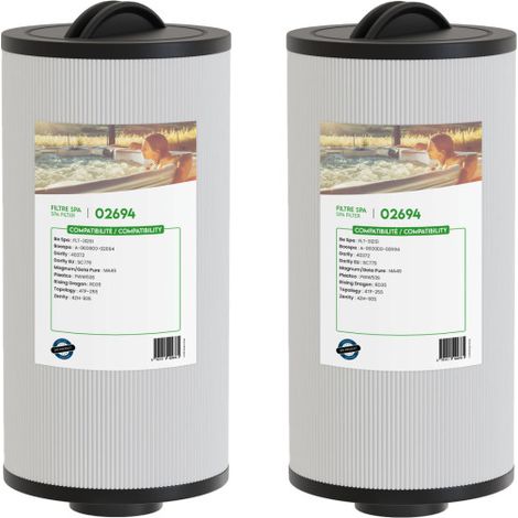 Filtre spa (40372 / RD35 / 4TP-255 / PWW35L) - Classique - Lot de 2 (1/2)