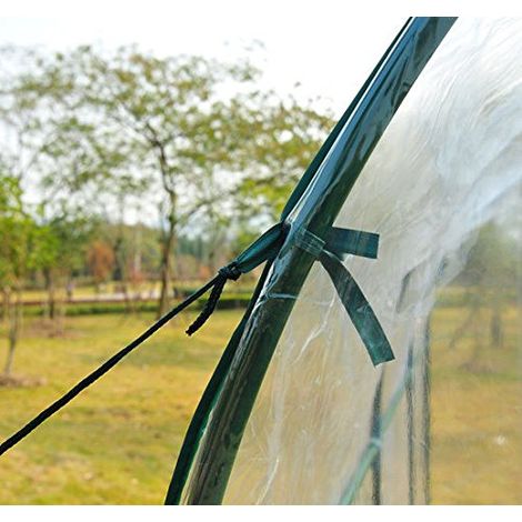 Serre tunnel 2x2.5x2m pour potager et plantes, abri avec bâche PVC, porte enroulable et structure en acier, idéal balcon