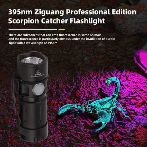 Lampe UV de détection 395nm aluminium anti-glissement modes multiples lumière LED petite lampe de poche pour urine animaux fossiles (1/5)