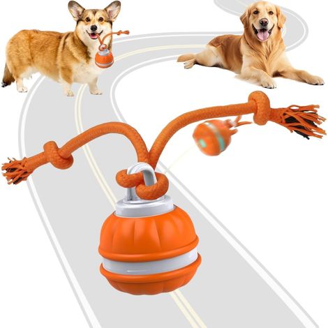 Balle interactive pour chien - Balle vibrante auto-roulante sensible au mouvement avec couinement (1/5)