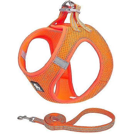 Corde de traction pour petit chien, chaîne en corde pour chien, laisse de promenade pour chien, gilet pour chien, corde de traction pour chien, Lake Orange L == (1/5)