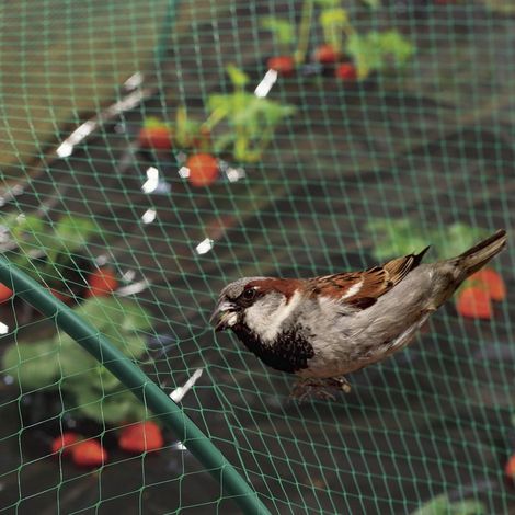 NORTENE - Malla antipájaros Birdnet 120005 5380/2X05M VERDE (1/5)