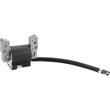 Pièces de tondeuse à gazon Bobine d'allumage Compatible avec Briggs & Stratton Armature Magneto 695711 802574 796964 (1/5)