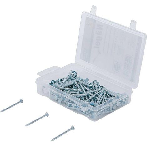 Assortiment de Clous 200 g 2,5 x 40 mm - Acier, Résistants et Polyvalents - D-Work (1/5)