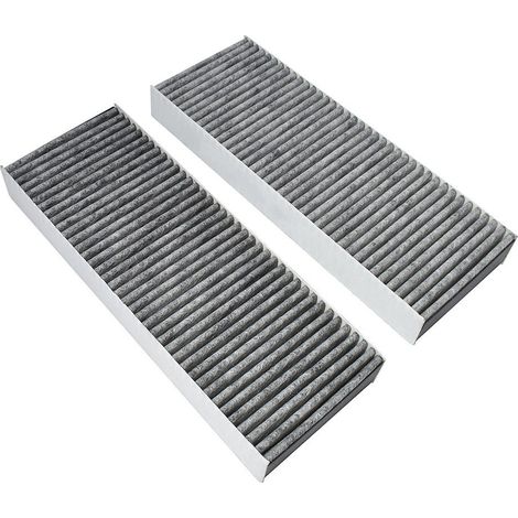 Filtro de carbón BAKFS (antiolor a pescado) adecuado para Bora Basic / BHU / BIU / BFIU / GP4 (2 uds.)
