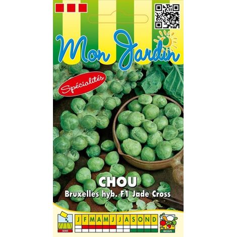 Chou de Bruxelles HYB F1 Lunet - 0,5g