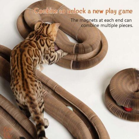 Magic Organ Interactive Scratching Toy - The Ultimate Interactive Mental and Physical Exercise for Indoor Cats (1/3)