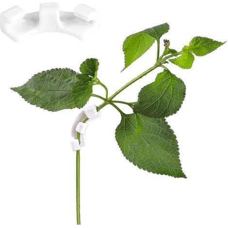 Lot de 30 tuteurs blancs à faible stress pour plantes, avec clips LST, pour le jardinage (1/5)