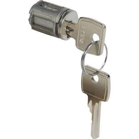 Barillet à clé type 2433A pour porte métal ou vitrée XL³800, XL³400 et XL³160 avec 1 jeu de 2 clés LEGRAND 020294 (1/2)