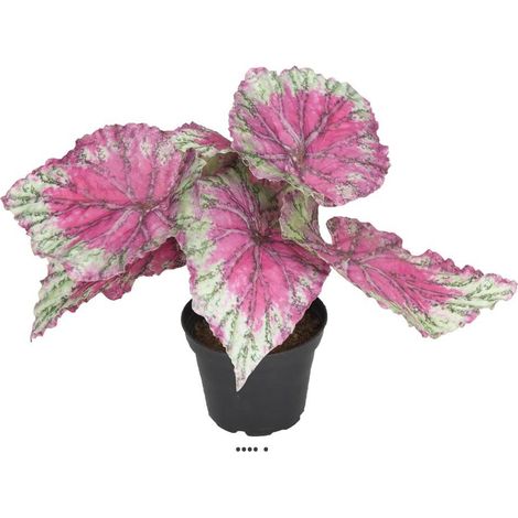 Bégonia royal factice en pot H20cm D22cm superbe couleur Rose fushia - couleur: Rose fushia 730 (1/3)