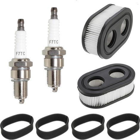 Filtre a Air de Tondeuse pour Briggs & Stratton 593260 5432 5432K 550E 550EX 798452 avec 2 bougie d'allumage (1/5)