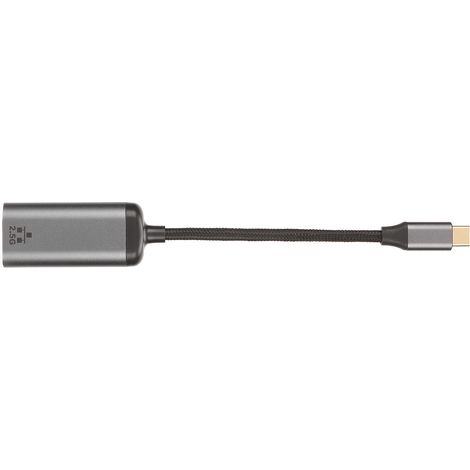 Adaptateur USB-C vers Ethernet haute vitesse Plug and Play USB Type-C vers RJ45 2,5G Gigabit Ethernet LAN (1/4)