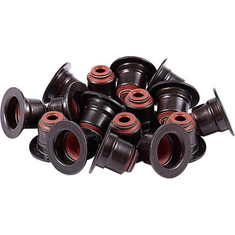 Kit de joints de queue de soupape pour BMW E53 X5, E63 E65, E70 X5, E71 X6, E87 E90, N42, N46, N62 (16 pièces) - SFYGV (1/5)