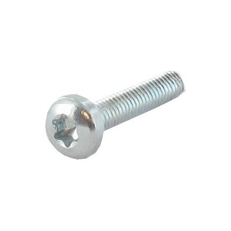 Vis Torx M4 X 20mm, Origine Stiga.