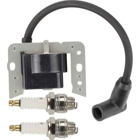 Bobina de encendido Hippotech 34443D con bujía para Tecumseh 34443 34443A 34443B 34443C Módulo semiconductor para Tecumseh (1/2)