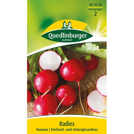 Quedlinburger Saatgut – Radis Korund – Graines de légumes, radis rond rouge vif, culture en pleine terre et sous verre (1/2)