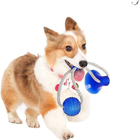 Jouet à mâcher Shxx pour animaux de compagnie, jouet interactif multifonctionnel en corde, balle à mâcher en caoutchouc avec ventouse, outil de nettoyage des dents pour chiens et chats J (1/3)