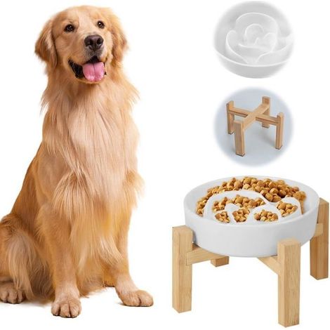 Gamelle anti-glouton chien avec support antidérapant en bambou,Gamelle anti-glouton surélevée Pour chiens taille moyenne et grande (1/5)