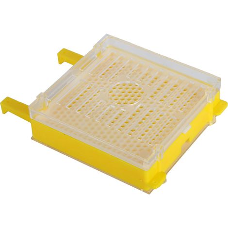 Kit Système d'Élevage de Reines Abeilles en Plastique avec Boîte et Outils de Greffage pour Apiculteur (1/5)