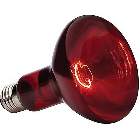 GAUN lampara infrarroja ir1 150w 230v , Lámpara infrarroja R123RB RUBINOWA de 150 W. El calentador infrarrojos es el mejor equipo de calefacción comúnmente utilizado. Emite la radi
