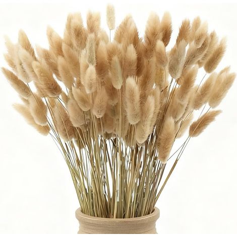 120 Pièces Naturelle Sèche Pampas Herbe Décoration, 43cm Pompas Fleurs, Fleurs Sèches pour la Décoration, Pampas Herbe en Vrac, Queues de Lapin Blanc, Fleurs Séchées pour Mariage Boho (1/5)