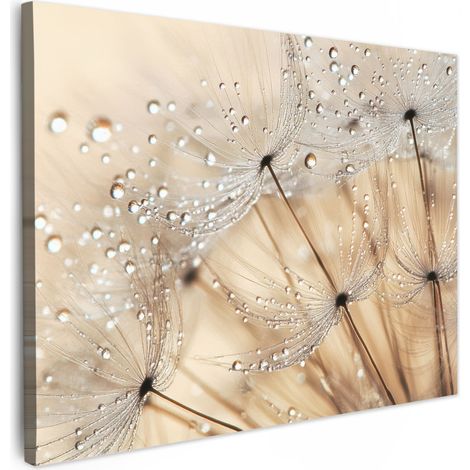 TABLEAU SUR TOILE Pissenlit - Abstrait - Nature - Beige Décoration Murale 40x30 cm
