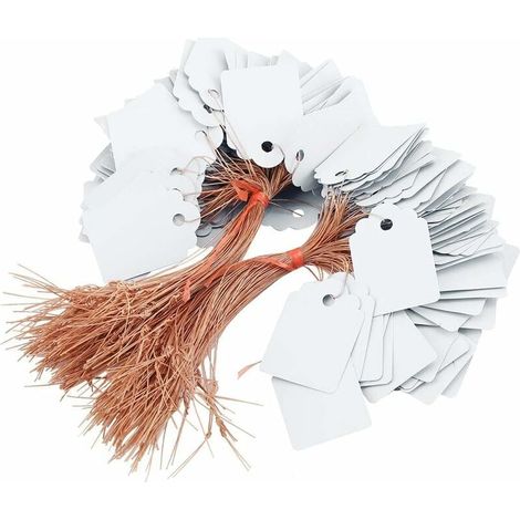 Lot de 200 étiquettes en PVC pour plantes suspendues - Étanche - Pour jardin d'enfants - 3,6 x 2,5 cm - Blanc (1/5)