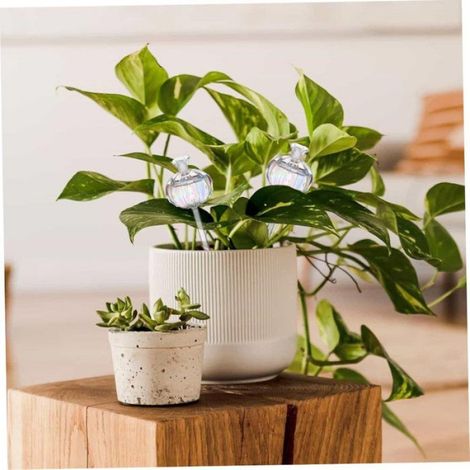 Boule D Arrosage - Verre Irisé - Pour Plantes En Pot Intérieur Extérieur - 4 Pièces (1/5)