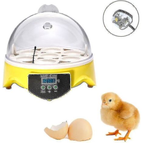 Incubateur automatique, capacité 7 œufs, pour œufs de poule et de volaille, avec contrôle de la température.-AquaForge (1/2)