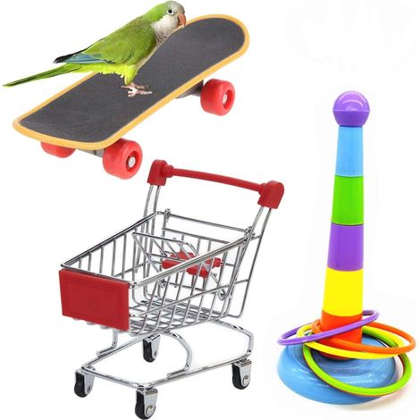 Lot de 3 jouets pour perroquets : mini chariot de courses, anneaux d'entraînement, skateboard, ballon de basket et perchoir, adapté aux perruches ondulées, calopsittes, conures et inséparables, jouet (1/5)