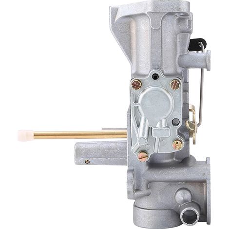 Carburateur pour moteurs Briggs & Stratton 498298, 130202, 112202, 112232, 134202 et 137202 (5 CV) (1/5)
