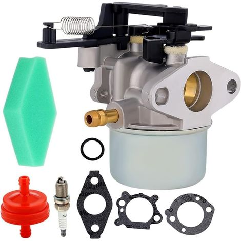 Powtol Vergaser 2700 PSI, 2800 PSI und 3000 PSI: 591137, 593599, 797301 (1/5)