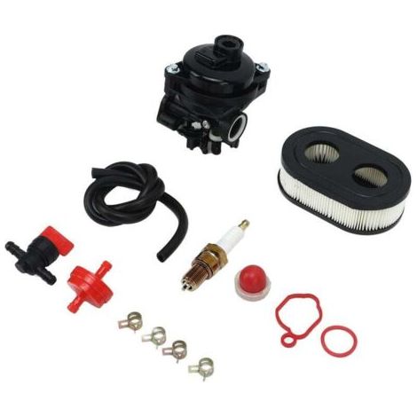 RHG Carburateur de Moteur de Tondeuse 593260, Compatible pour Moteurs Briggs & Stratton 9P702 09P702 550EX 625EX 675EX 799584 Carburateur (1/4)