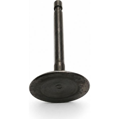 Valvula Admision compatible con Br500, 550, 600  Ref 90002939