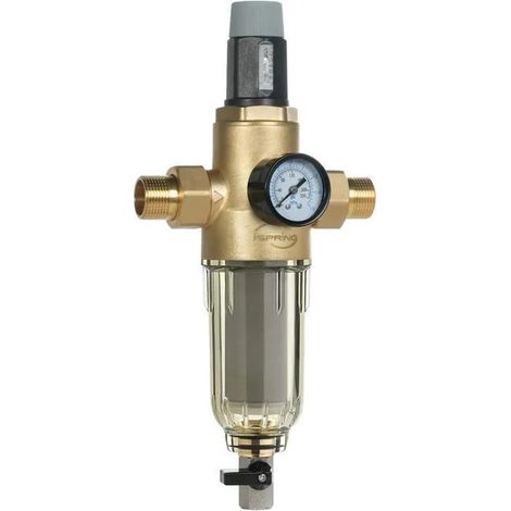 iSpring WSP50PRG Prefiltro per Sedimenti con Regolatore di Pressione, G 3/4''-1'', Ottone Senza Piombo, Prefiltro Lavabile da 50 Micron