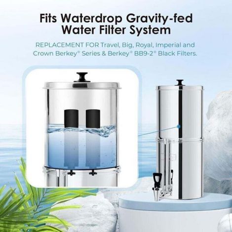 Filtre À Eau BB9-2 - Charbon Actif Noix De Coco - Compatible Systèmes Gravitaires Et Portatifs - 22 712 L - Noir - 2 Pièces (1/4)