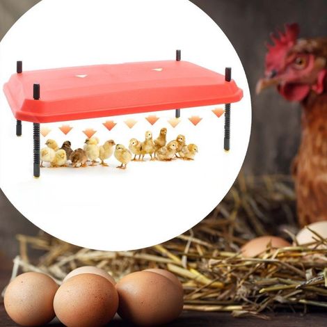 Panneau Chauffant Poussins 40 X 55 cm. 50W. Plaque Chauffante 45 Poussins environ (1/5)