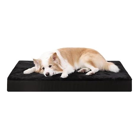 Panier Chien XXL, pour Chien Grande Taille, 119x73cm, Noir Coussin Déhoussable, Lit Chien Orthopédique, Tapis Chien avec Housse Amovible et Lavable en Machine, Fond Antidérapant (1/5)