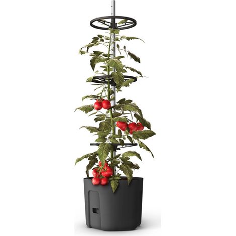 3x BURI Tomatenpflanztopf mit Rankhilfe Anthrazit Tomatentopf Pflanzkübel Pflanztopf Blumentopf Blumenkübel Kletterhilfe Anzuchttopf (1/5)