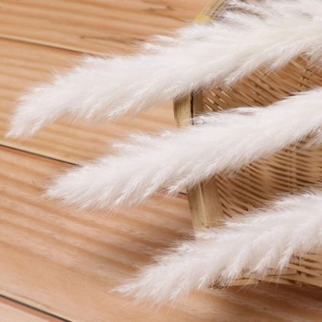 30 Pcs Piume di Pampa, 58cm Bouquet Fiore Secco Decorazione Boho Casa Camere Matrimoni Fotografia Tavolo, Bianco (1/3)