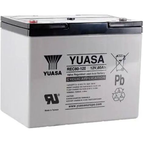 Batería Yuasa REC80-12 80Ah 12V (1/2)