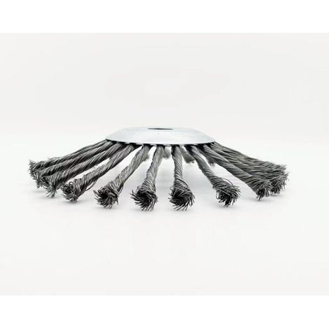 Tête Brosse Débroussailleuse 254 x 25,4mm Fil d'acier Debroussailleur Universelle Désherbage 10 Pouce pour Outils de Pelouse Jardin L'élimination de la Mousse et de la Rouille (1/3)