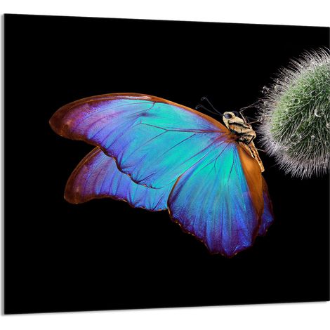 GLASPLATTE FÜR KÜCHE 65x60 Schmetterling (1/5)