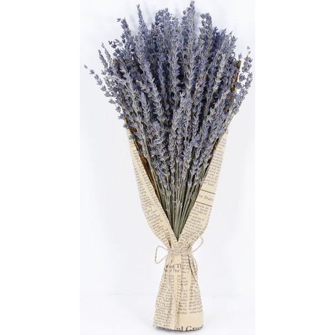 1 brin de lavande séchée, bouquet de fleurs de lavande naturelles, tiges de 43 cm (1/4)