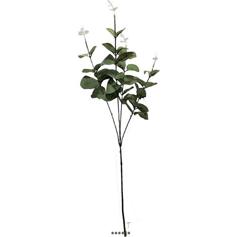 Branche de faux eucalyptus H 65 cm 4 ramures (1/3)