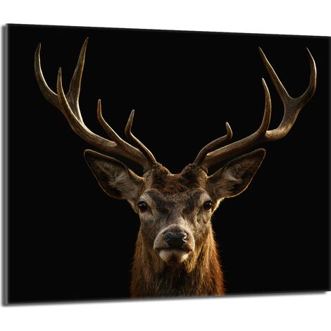 Plaque de protection en verre pour le poêle 60x52 Deer (1/5)
