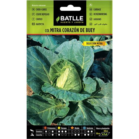 Col S. coeur de boeuf MITRA