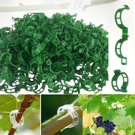 Pflanzenstützclips, Tomatenclips für den Garten, Stützclips für Gartenpflanzen, Clips für Gemüse, Tomatenranken, Stängel für gerades und gesünderes Wachstum (100, Grün) (1/5)