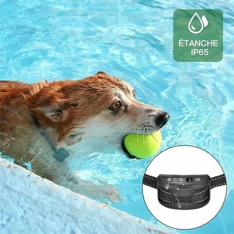 Collier Anti-aboiement Chien JZSH 3 Modes Choc/Vibration/Sensibilité - Dressage Automatique IP65 Batterie Rechargeable Réglable (1/4)