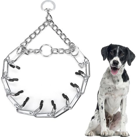 Robustes Hundetrainingshalsband aus Edelstahl, sichere, glatte Oberfläche (1/5)